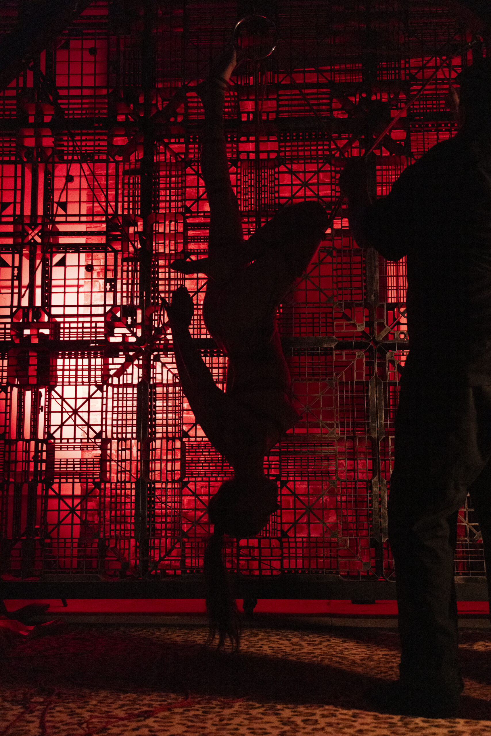 SS_KOMP_20230811_00598